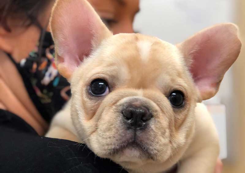 Carousel Slide 5: What to expect when you visit