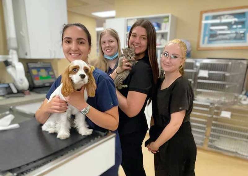 Carousel Slide 2: Meet our amazing veterinary team